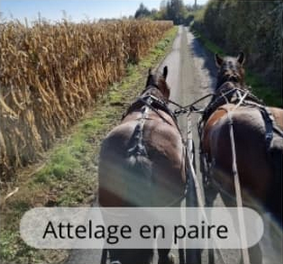 Préparation