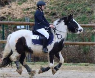 Darling travail