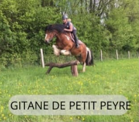 Gitane de Petit Peyre
