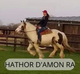Hathor d'Amon RA
