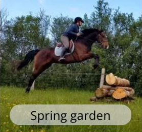 Spring garden