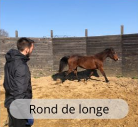 Rond de longe