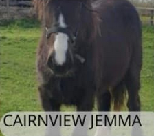 Cairnview Jemma