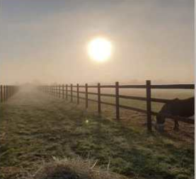Cheval coaching 1